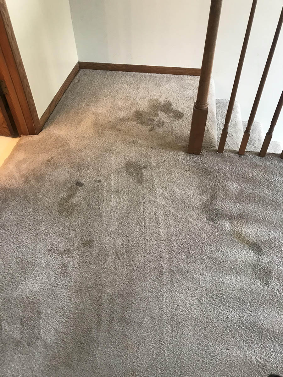 Dirty Carpet Landing Before Cleaning